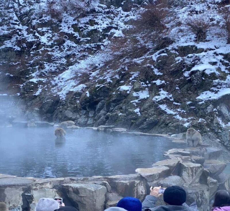 From Tokyo: Nagano Private Tour with English-Speaking Driver - FAQ