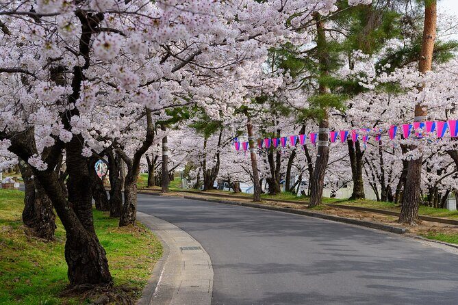 From Tokyo: National Treasure Matsumoto Castle & Cherry Blossom - Key Points