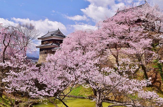 From Tokyo: National Treasure Matsumoto Castle & Cherry Blossom - Final Thoughts