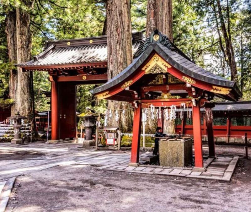 From Tokyo: Nikko Full Day Customizable Private Tour - Discovering Nikko: An In-Depth Review of the Private Day Tour