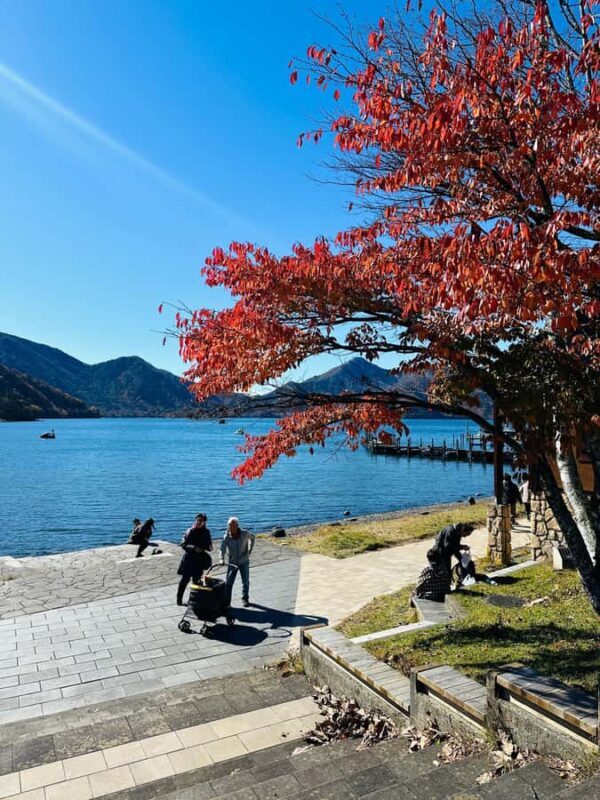 From Tokyo: Nikko Full Day Customize Tour With English Guide - Key Points