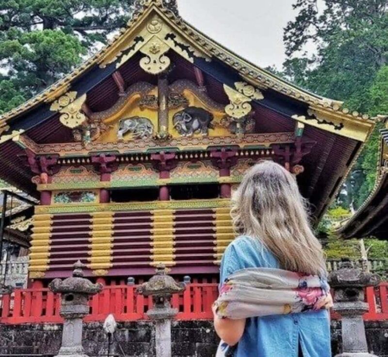 From Tokyo: Nikko Full Day Customized Private Tour - What Makes This Tour Stand Out?