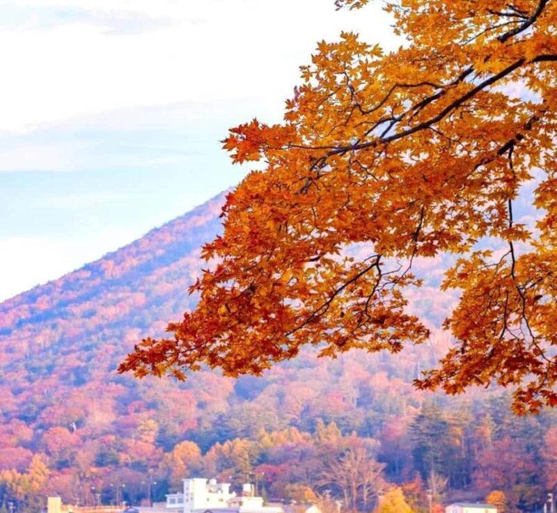 From Tokyo: Nikko Full Day Private Customizable Tour - FAQs