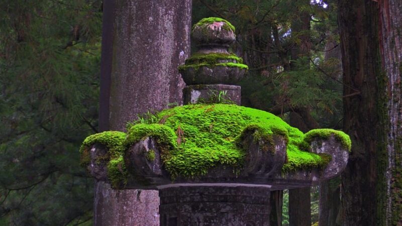 From Tokyo: Nikko Full Day Private Sightseeing Tour - Final Thoughts