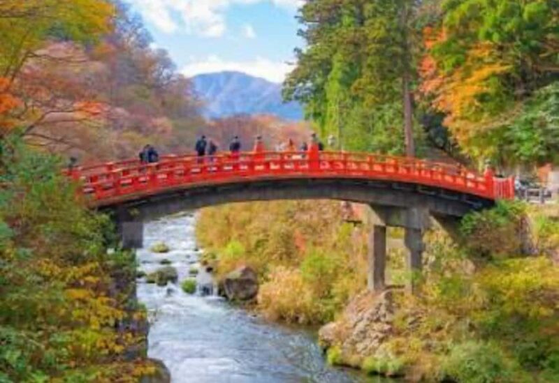 From Tokyo: Nikko Full Day Private Tour with English Guide - Who Will Love This Tour?