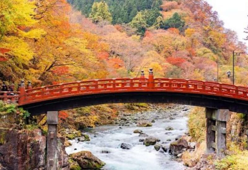 From Tokyo: Nikko Full Day Private Tour with English Guide - FAQ