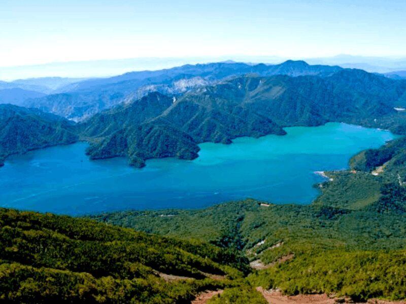 From Tokyo, Nikko Lake Chuzenji Kegan Falls Private Day Trip - An In-Depth Look at the Nikko Private Day Trip