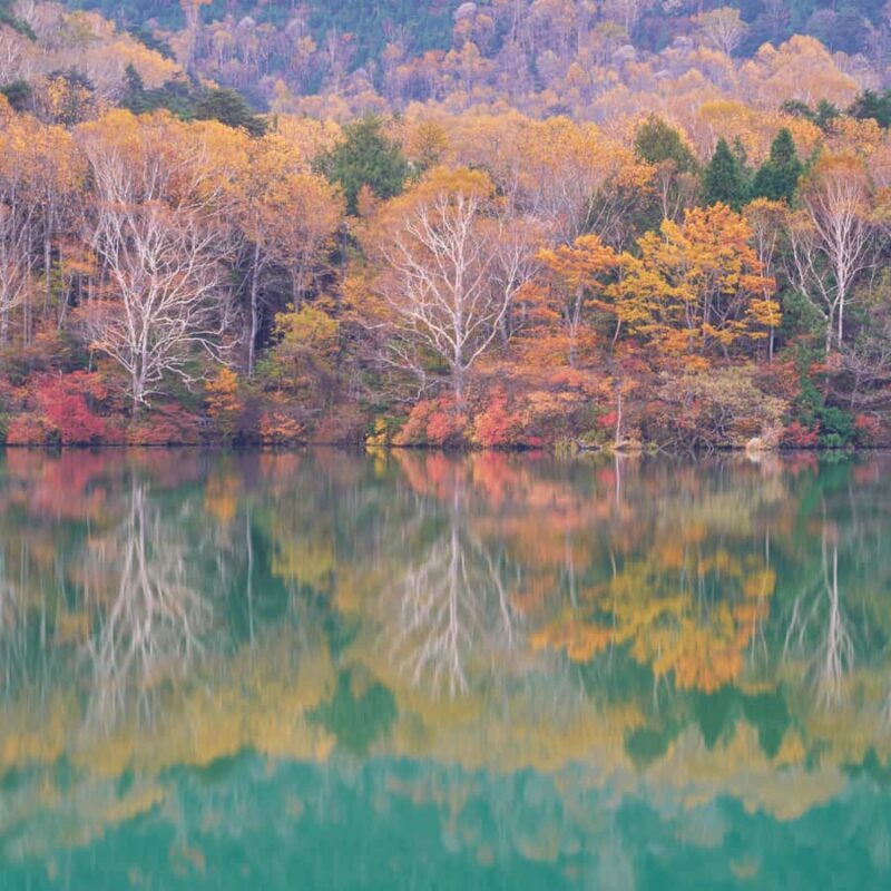 From Tokyo Nikko Lake Chuzenji & Toshogu Temple, Kegon Falls - On-the-Go Extras and Considerations