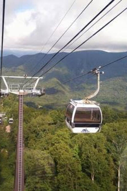 From Tokyo: Nikko luxury Tour with English-speaking Guide - Key Points