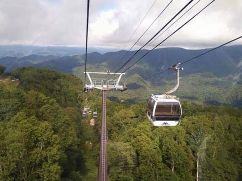 From Tokyo: Nikko luxury Tour with English-speaking Guide - Practical Aspects and How It Enhances the Experience