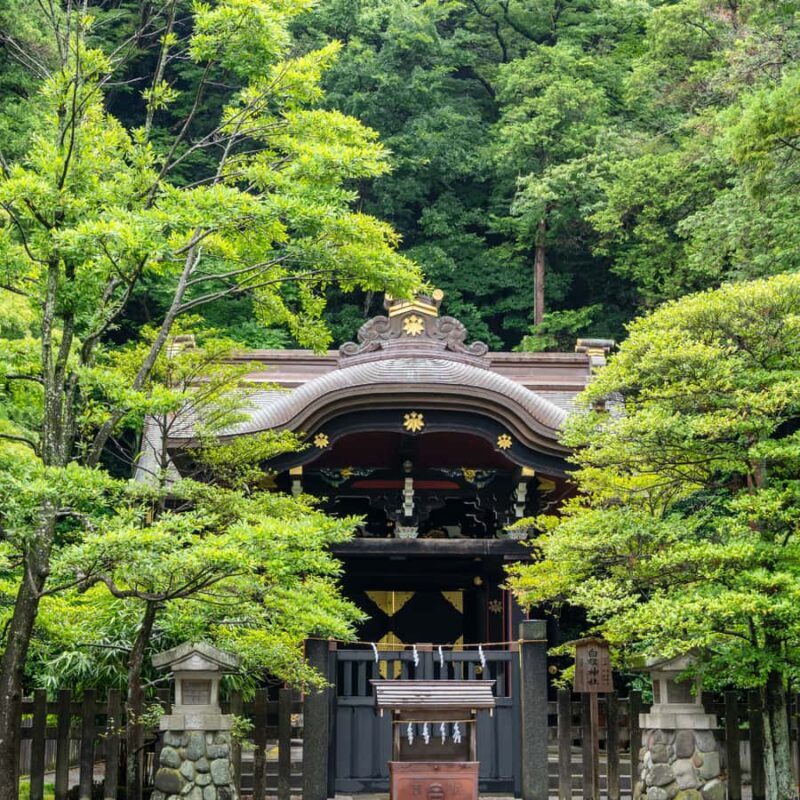 From Tokyo: Nikko National Park Private Full Day Tour In Car - Key Points