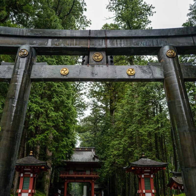 From Tokyo: Nikko National Park Private Full Day Tour In Car - The Sum Up