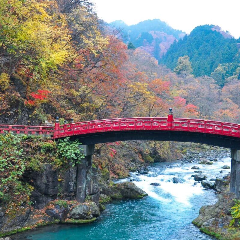 From Tokyo: Nikko National Park Private Full Day Tour In Car - FAQs