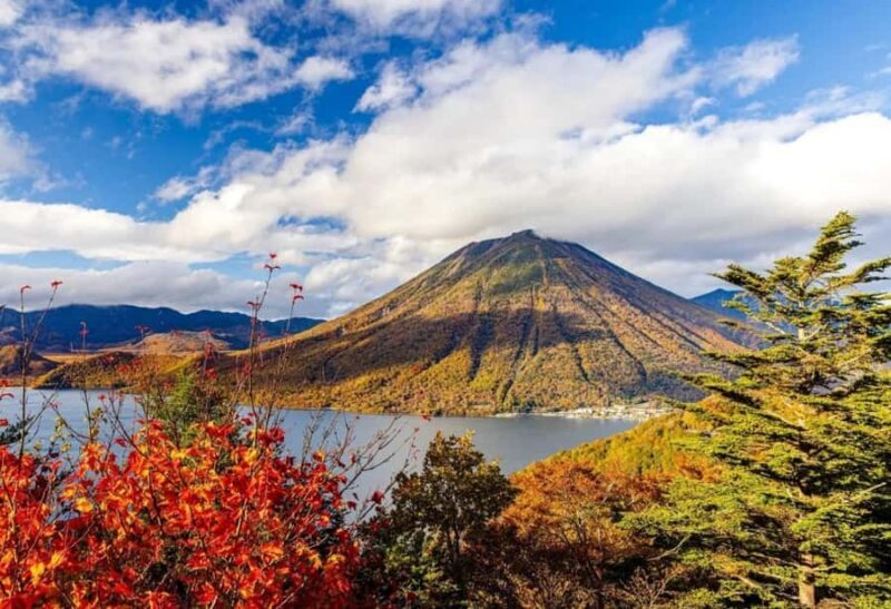 From Tokyo: Nikko One-Day Private Tour - From Tokyo: Nikko One-Day Private Tour — A Detailed Look