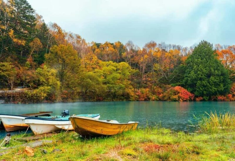 From Tokyo: Nikko One-Day Private Tour - Key Points