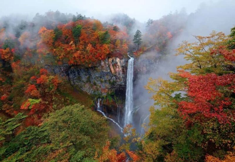 From Tokyo: Nikko One-Day Private Tour - Transportation and Group Dynamics