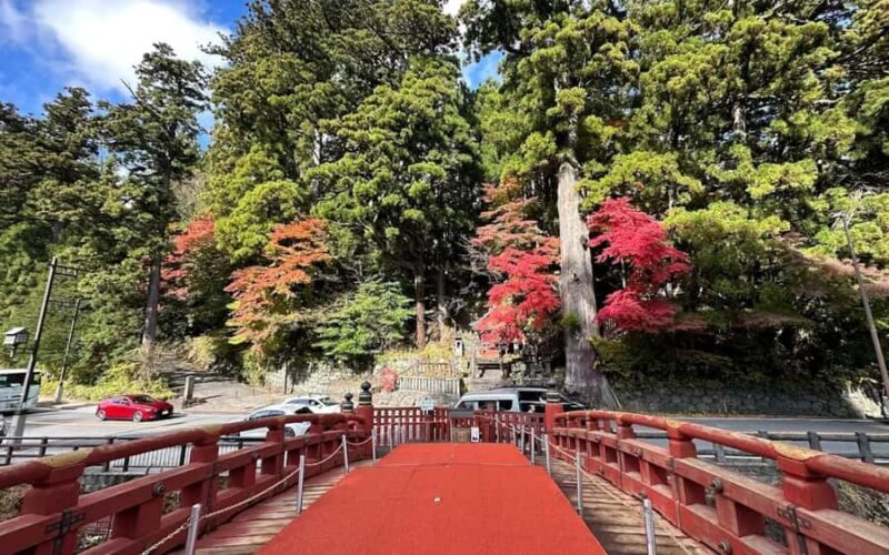 From Tokyo: Nikko One-Day Private Tour - The Sum Up