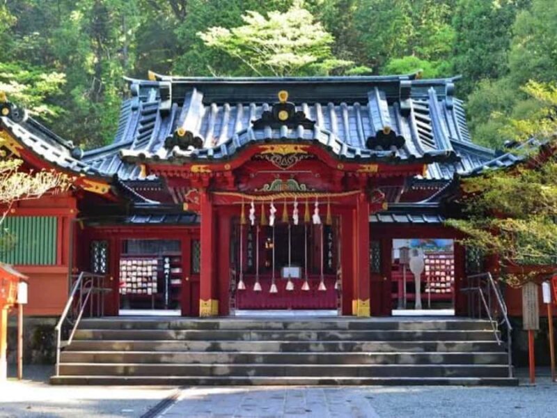 From Tokyo: Nikko Private Customizable Tour With Guide - Customization and Personalization