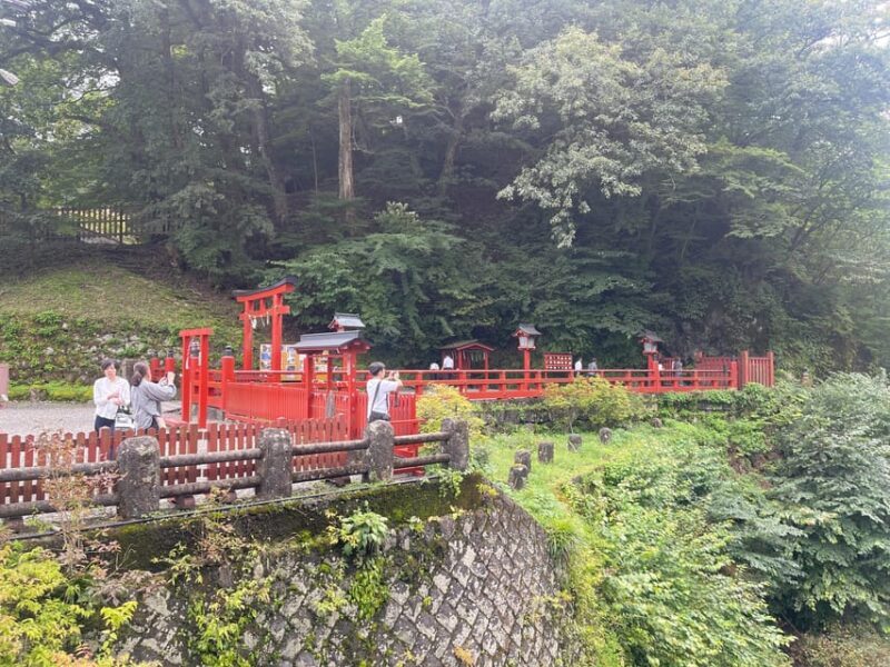 From Tokyo: Nikko private Customize Tour With English Driver - Key Points  