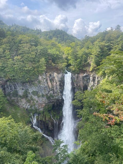 From Tokyo: Nikko private Customize Tour With English Driver - Final Thoughts