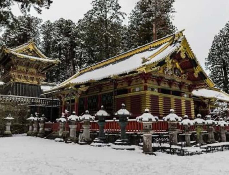 From Tokyo: Nikko Private Customized Tour With English Guide - FAQs
