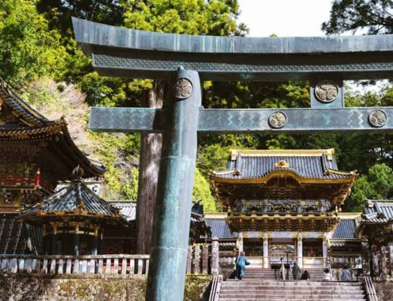 From Tokyo: Nikko Private Customized Tour With English Guide - Final Thoughts