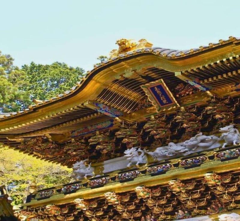From Tokyo: Nikko Private Tour with Guide & Pickup - Why This Tour Will Work for You