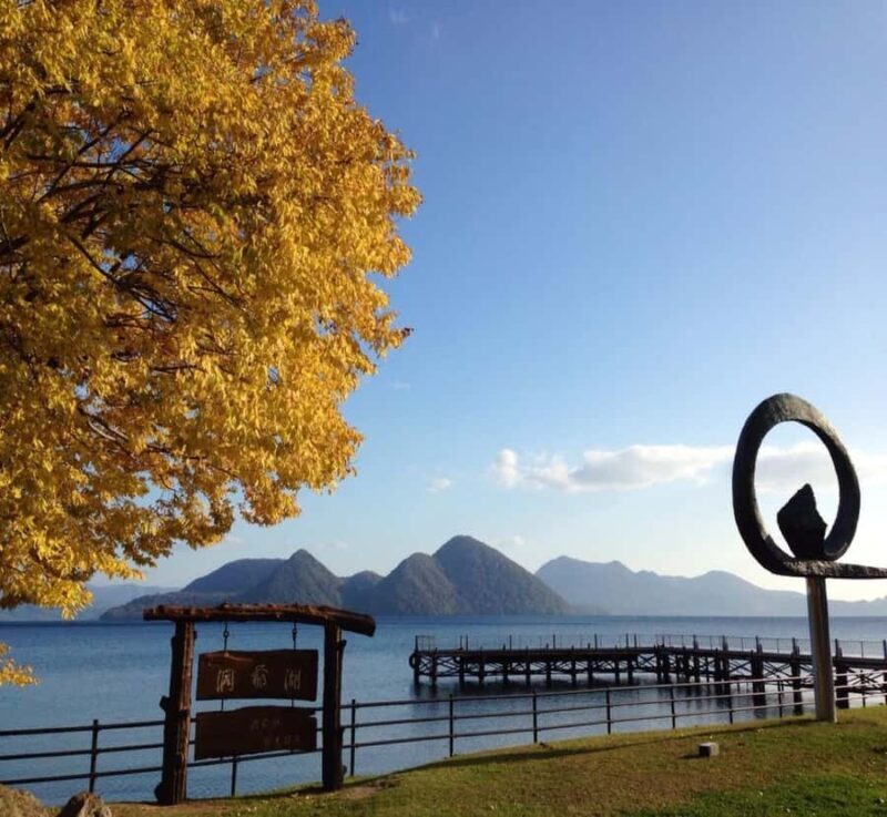 From Tokyo: Nikko Private Tour with Kegon Falls - Key Points