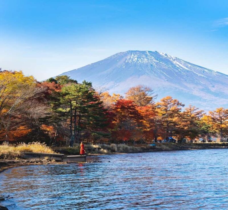 From Tokyo: Nikko Private Tour with Kegon Falls - An Authentic Day Out in Nikko: What to Expect