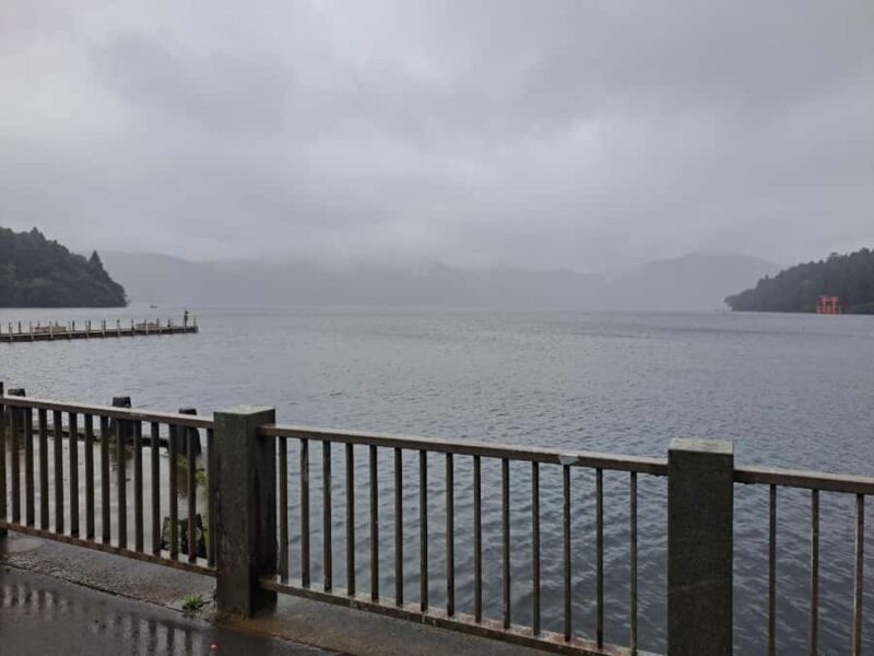 From Tokyo: Nikko Private Tour with UNESCO Sites - Final Thoughts