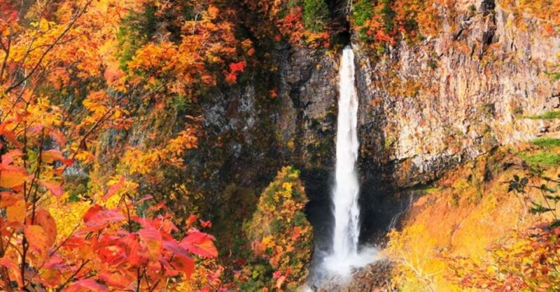 from-tokyo-nikko-unesco-shrine-and-nature-view-1-day-tour
