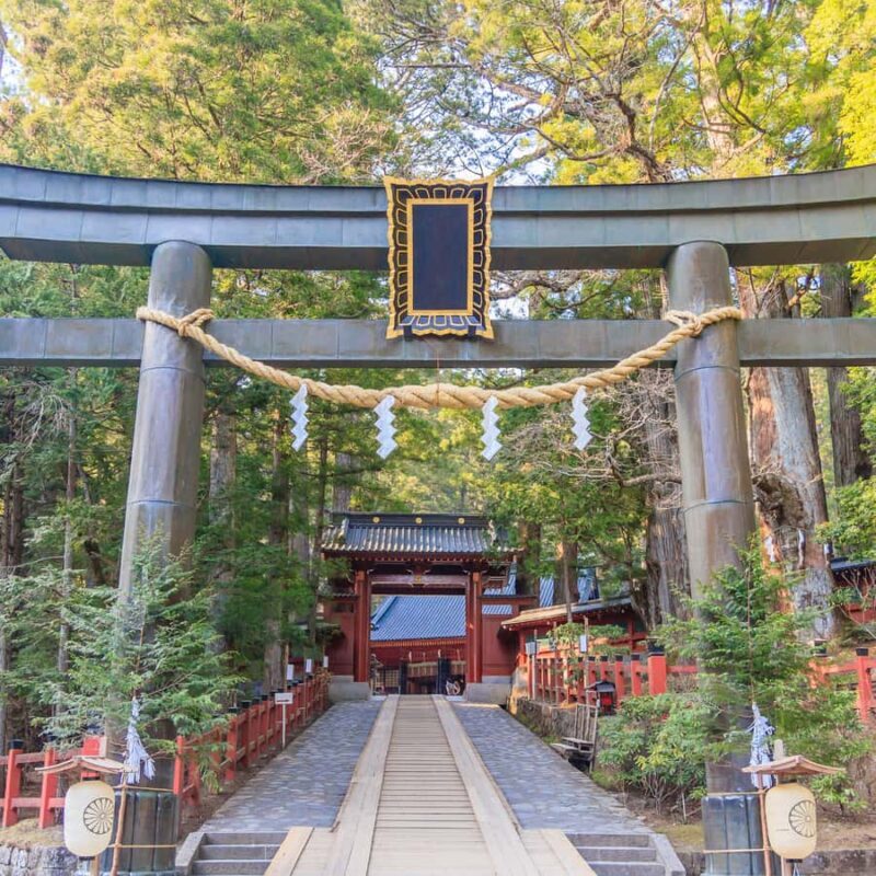 From Tokyo: Nikko Unesco World Heritage Private Guided Tour - Practical Details and Tips