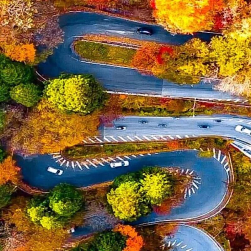 From Tokyo: Nikko Unesco World Heritage Private Guided Tour - The Sum Up