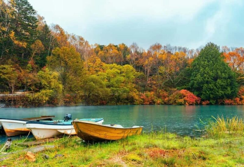 From Tokyo: Nikko World Heritage Full Day Private Tour - Flexibility and Personalization