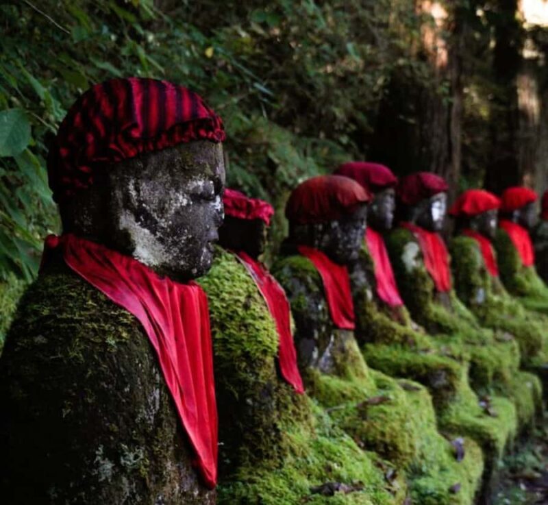 From Tokyo: Nikko World Heritage Private Tour with Guide - A Deep Dive into the Nikko Experience