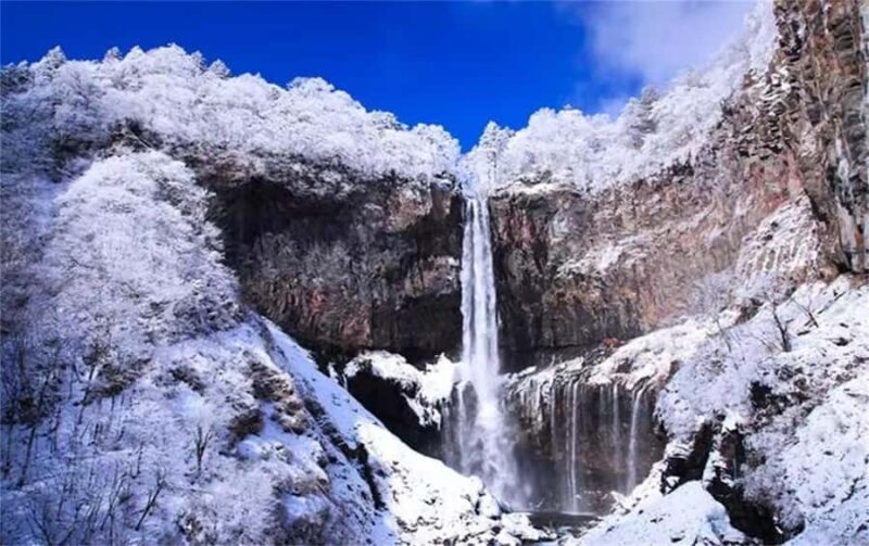 From Tokyo: Nikko World Heritage & Quarry Ruins Day Trip - Authentic Insights from Reviews