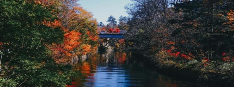 From Tokyo: Nikko World Heritage Sight Full Day Private Tour - Final Thoughts: Who Will Love This Tour?
