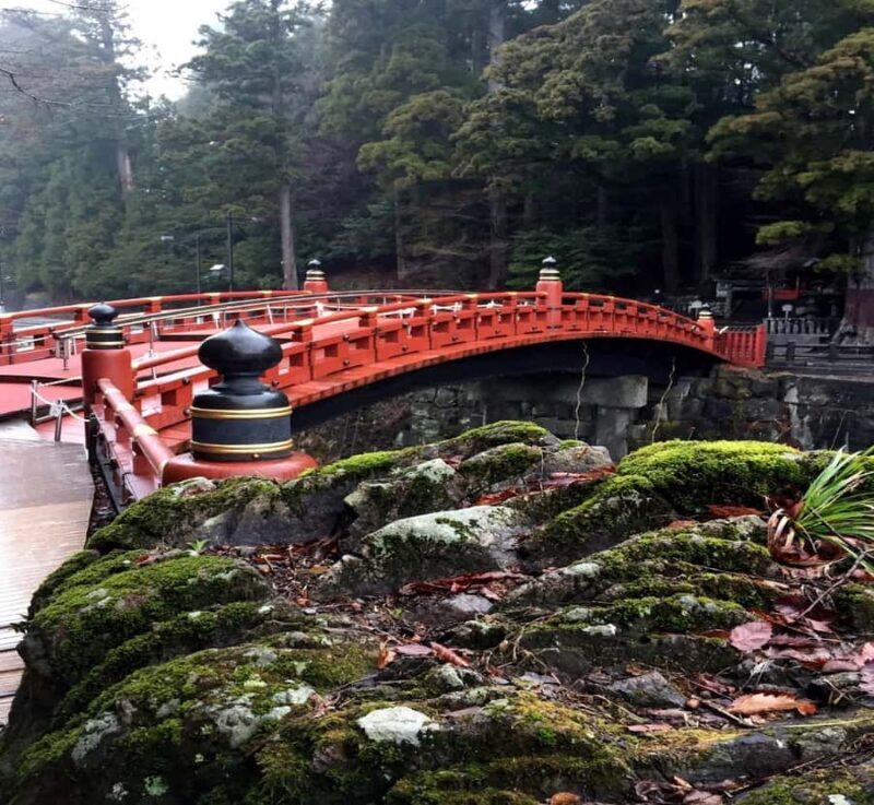 From Tokyo: Nikko World Heritage Site Private Day Trip - The Journey from Tokyo to Nikko