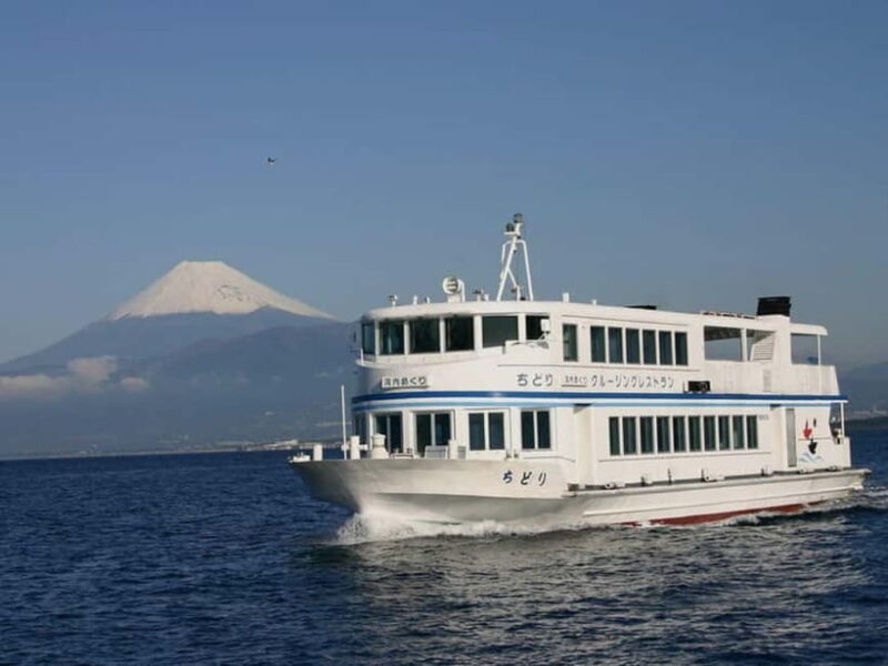 From Tokyo: Numazu Port and Gotemba Outlets Day Tour - An In-Depth Look at the Itinerary