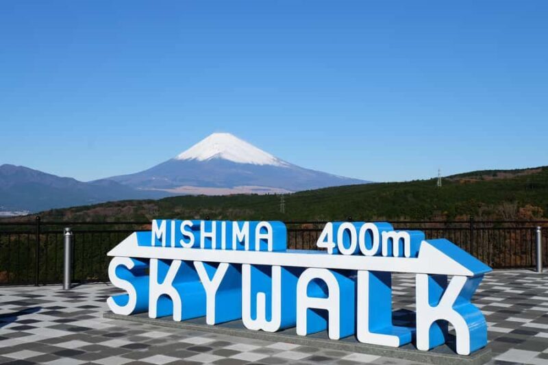 From Tokyo: Numazu Port, Mishima Skywalk, Mt. Fuji View Tour - Key Points