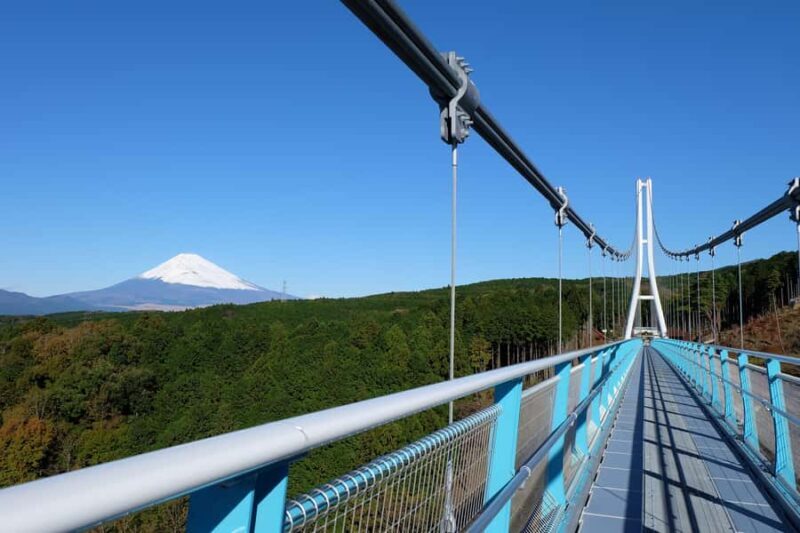 From Tokyo: Numazu Port, Mishima Skywalk, Mt. Fuji View Tour - Final Thoughts