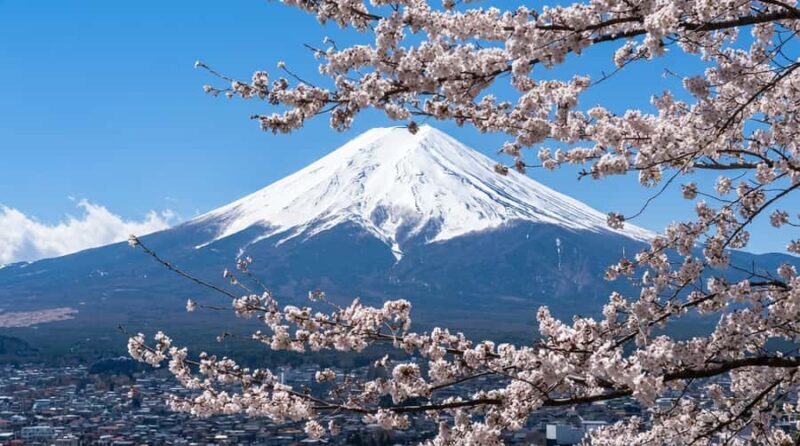 From Tokyo: Off-Peak Secret Spot Day Tour to Mount Fuji - Practical Details and Comfort