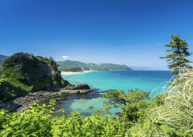 From Tokyo: Private Day Trip to Izu & Shimoda, Shizuoka - Exploring Izu & Shimoda: A Detailed Review of the Private Day Trip from Tokyo