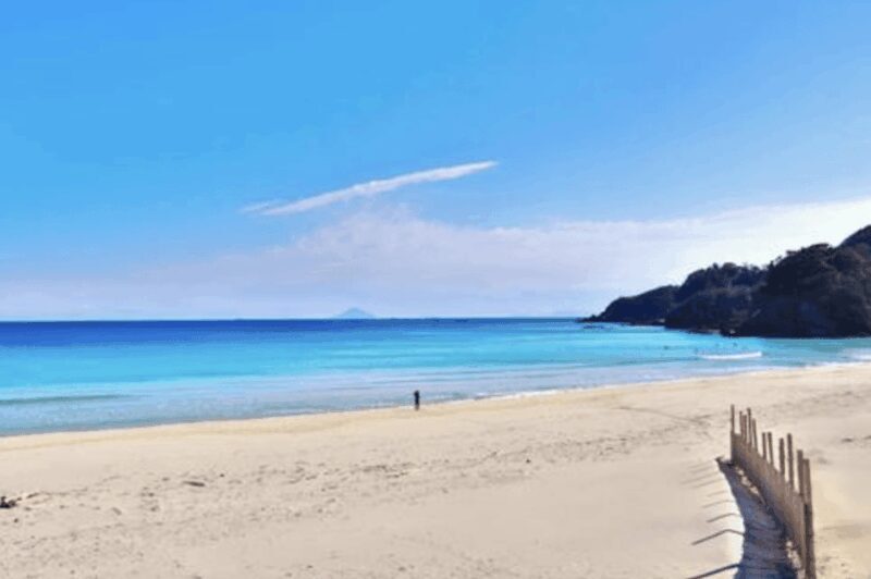 From Tokyo: Private Day Trip to Izu & Shimoda, Shizuoka - The Value of a Private Day Trip