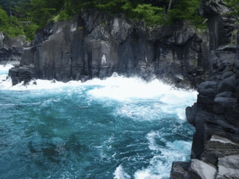 From Tokyo: Private Day Trip to Izu & Shimoda, Shizuoka - Practical Considerations