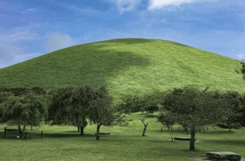 From Tokyo: Private Day Trip to Izu & Shimoda, Shizuoka - FAQ