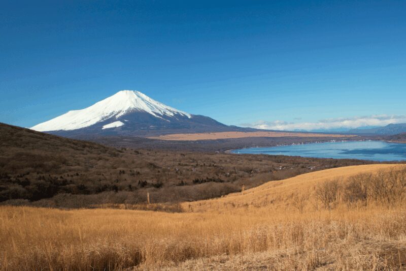 From Tokyo: Private Day Trip to Mount Fuji & Fuji Five lakes - Who Is This Tour Best For?