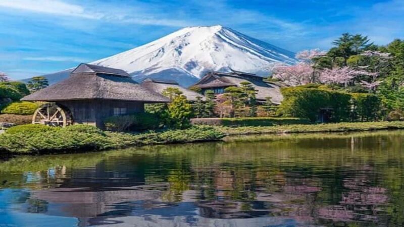 From Tokyo: Private Hidden Tokyo Tour with EnglishGuide - Key Points