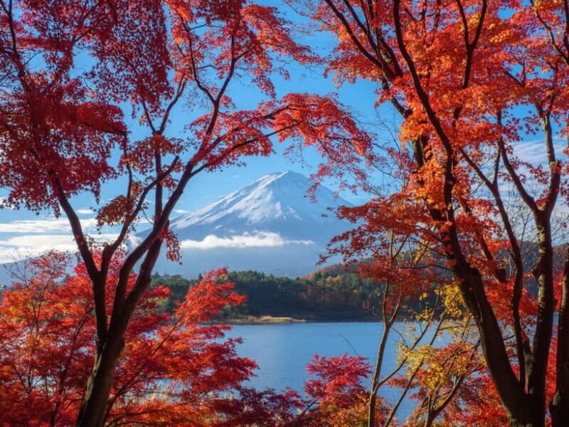 From Tokyo: Private Motorcycle Tour - Fuji, Hakone, Onsen - FAQ