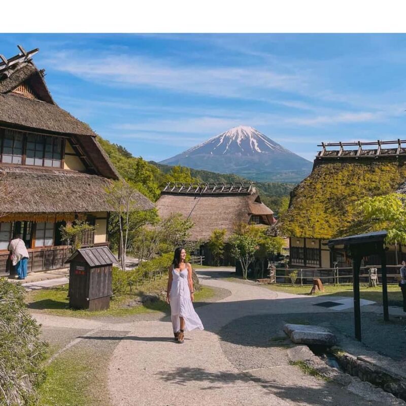 From Tokyo: Private Mount Fuji & Hakone Custom Day Tour - A Detailed Look at the From Tokyo: Private Mount Fuji & Hakone Custom Day Tour